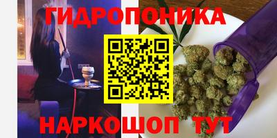 эйфоретик Свободный