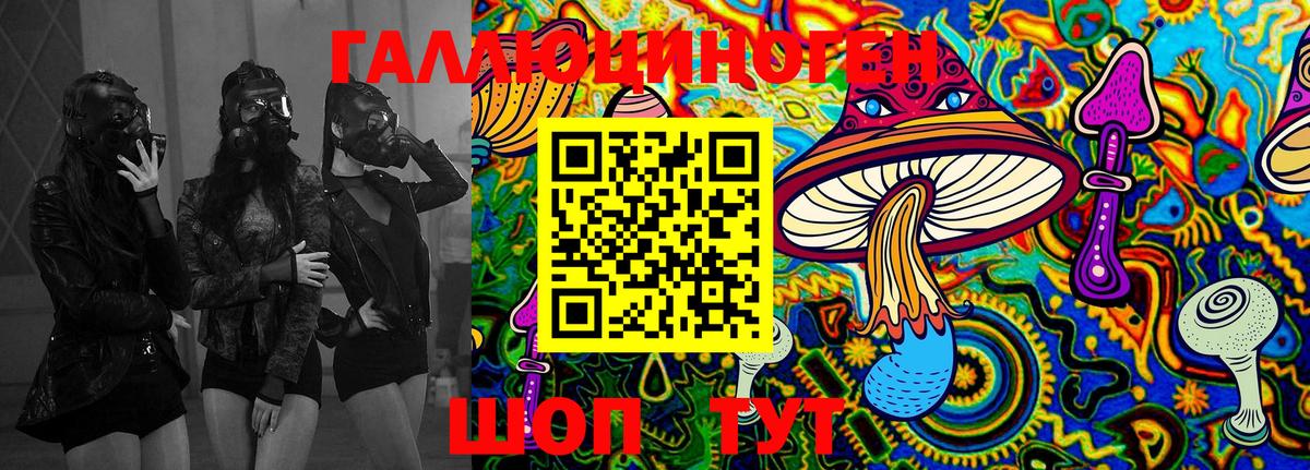 Галлюциногенные грибы Cubensis  Галлюциногенные грибы MAGIC MUSHROOMS  Осинники  Вход с VPN 